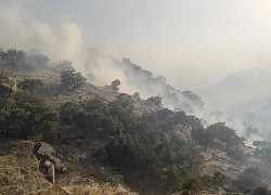 آتش‌سوزی در مراتع استان اصفهان لانه کرده‌ است