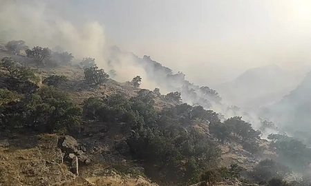 ۴۰ هکتار از مراتع ارتفاعات دالانکوه شهرستان سمیرم سوخت