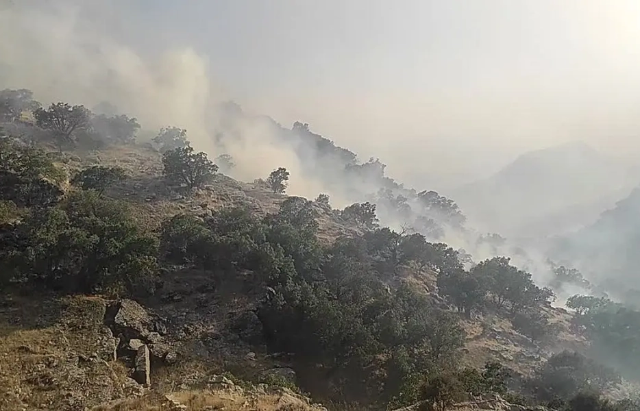 آتش‌سوزی در مراتع استان اصفهان لانه کرده‌ است