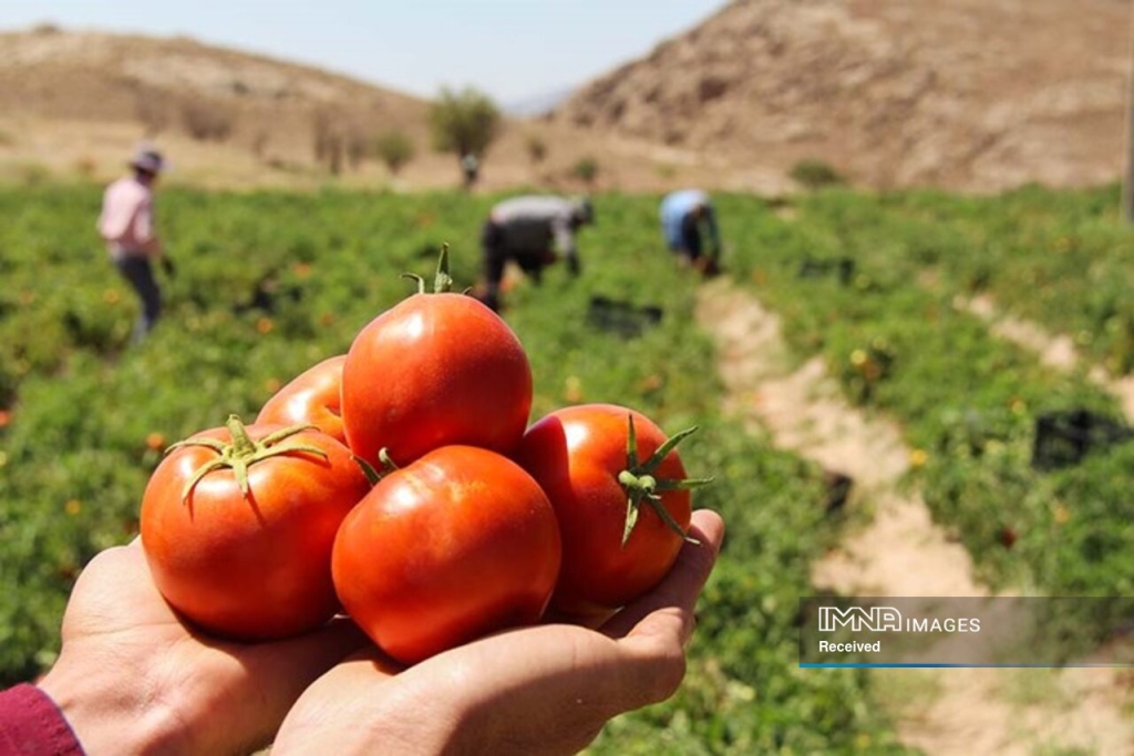 25 درصد آب کمتر با هوش مصنوعی - اصفهان زیبا