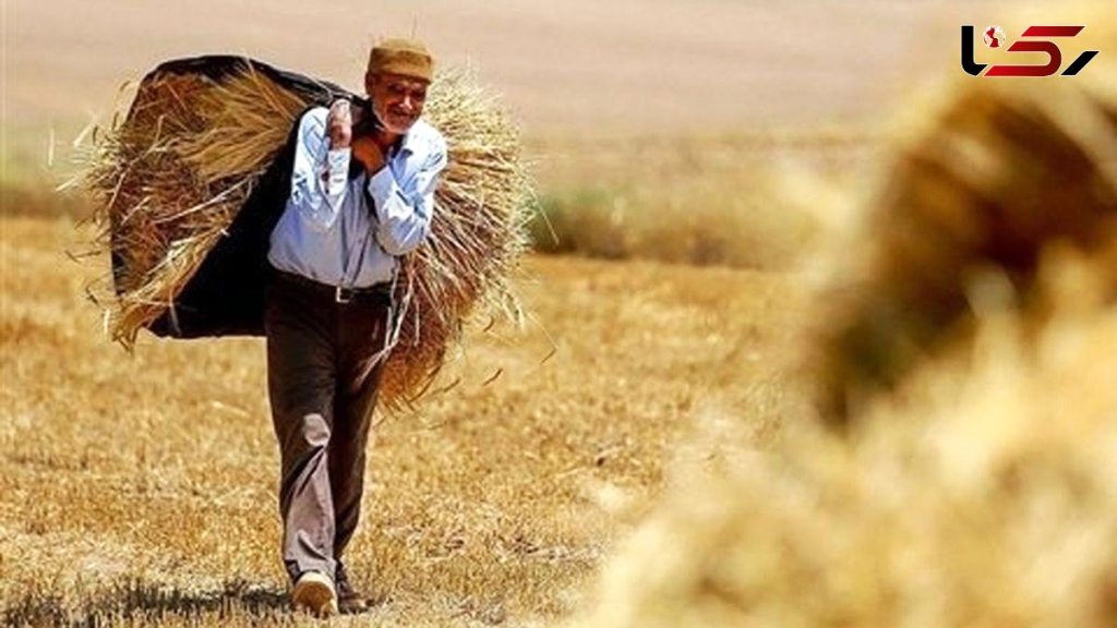 پاسخ به مطالبه‌های بحق کشاورزان - اصفهان زیبا