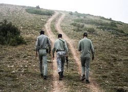 قربانیان قانون! قربانیان قانون!