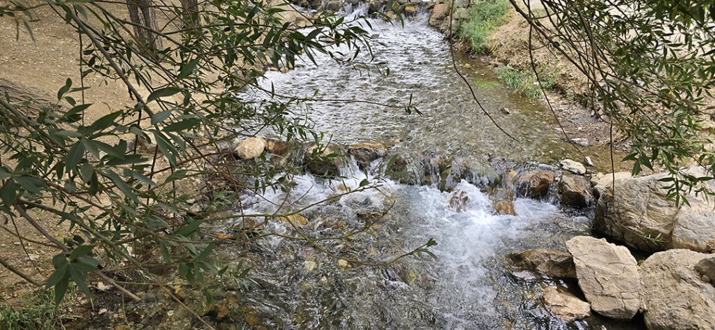 چشمه مرغاب تیران و کرون کجاست؟