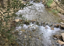 چشمه مرغاب تیران و کرون کجاست؟