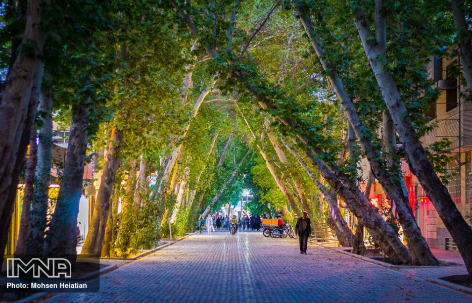 الان وقت حفاظت از  میراث عباس&zwnj;آباد صفوی است
