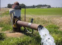 اشاعه الگوی کشت، اراده میخواهد! اشاعه الگوی کشت، اراده میخواهد!