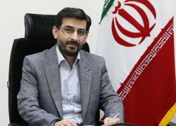 تدابیر شهرداری برای حفظ درختان کهن‌سال