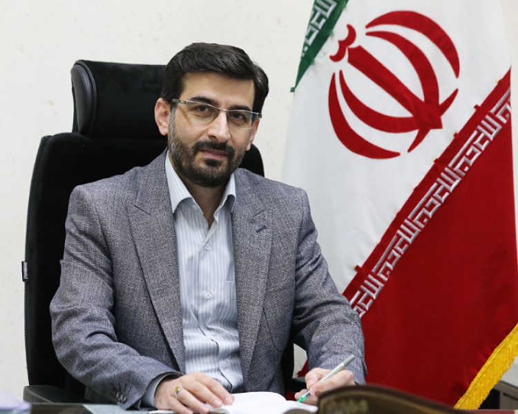 تدابیر شهرداری برای حفظ درختان کهن‌سال