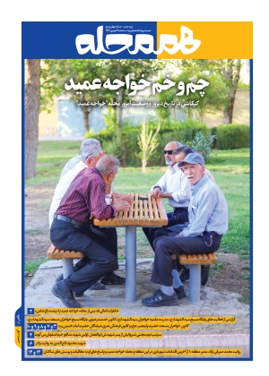 چم و خم خواجه عمید