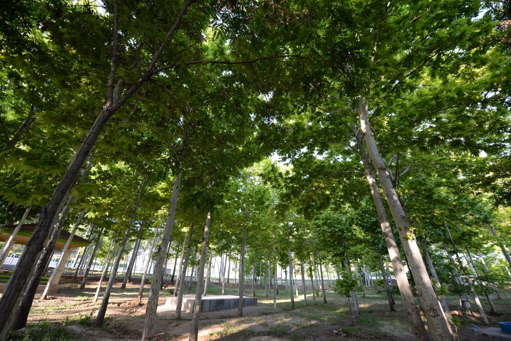 پارک جنگلی گلپایگان کجاست؟