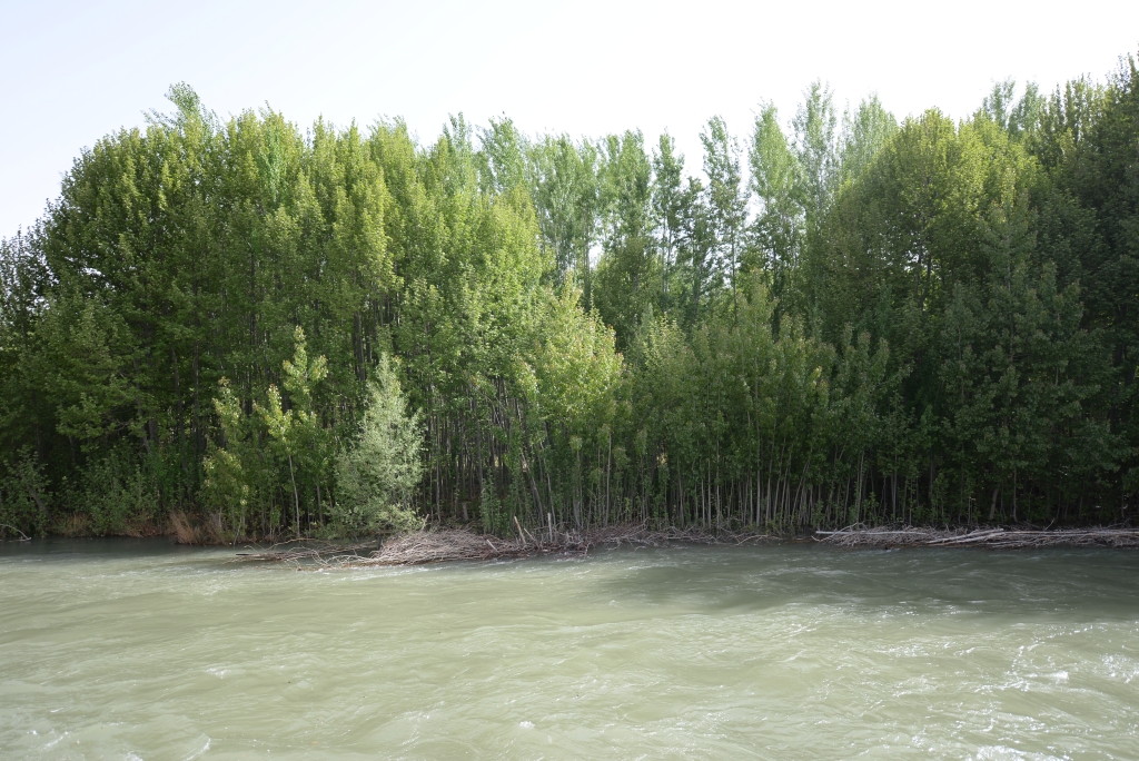 روستای قلعه ترکی باغبهادران کجاست؟