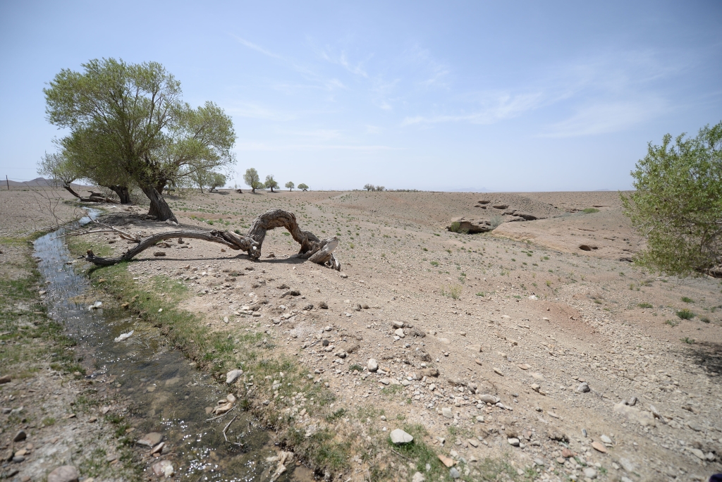 چشمه روستای سُه شاهین شهر کجاست؟