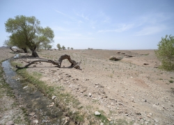 چشمه روستای سُه شاهین شهر کجاست؟