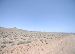 منطقه حفاظت‌شده کرکس نطنز کجاست؟