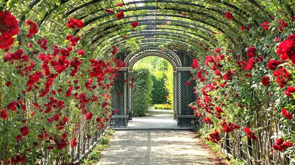 باغ ایران‌زاد؛ خانه‌ای تازه برای گیاهان بومی در اصفهان