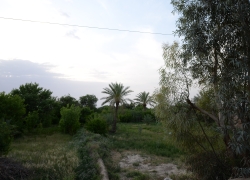 روستای بیاضه خور و بیابانک کجاست؟ روستای بیاضه خور و بیابانک کجاست؟