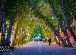 الان وقت حفاظت از  میراث عباس‌آباد صفوی است