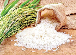 قیمت جدید انواع برنج ایرانی برای امروز ۲۶ شهریور ۱۴۰۴