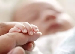 واریز ماهانه ۲ میلیون تومان به «کارت امید مادر» از ۱۴۰۵ واریز ماهانه ۲ میلیون تومان به «کارت امید مادر» از ۱۴۰۵