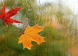 ورود هوای پاییزی به ایران از هفته آینده