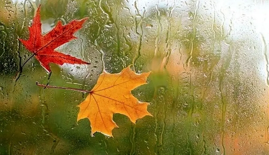 ورود هوای پاییزی به ایران از هفته آینده