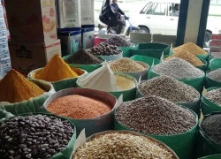 کاهش قیمت حبوبات در آستانه فصل برداشت