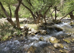 رودخانه بی بی سیدان سمیرم کجاست؟+عکس جدید
