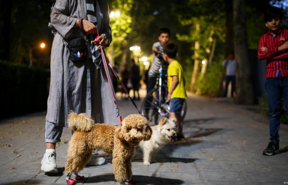 حقوق شهروندی زیر پای سگ&zwnj;ها