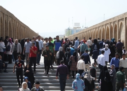 مدارا، میوه عقل مدارا، میوه عقل