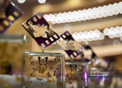 مرگ آرام یک رؤیا مرگ آرام یک رؤیا