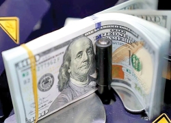 جزئیات تأمین ارز کالاهای اساسی تا ۱۹ مهرماه