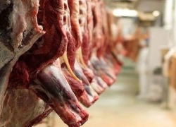 قیمت انواع گوشت تنظیم بازاری گوساله در میادین و فروشگاهها قیمت انواع گوشت تنظیم بازاری گوساله در میادین و فروشگاهها