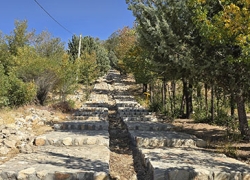 پارک جنگلی بوئین و میاندشت کجاست؟+عکس‌های جدید