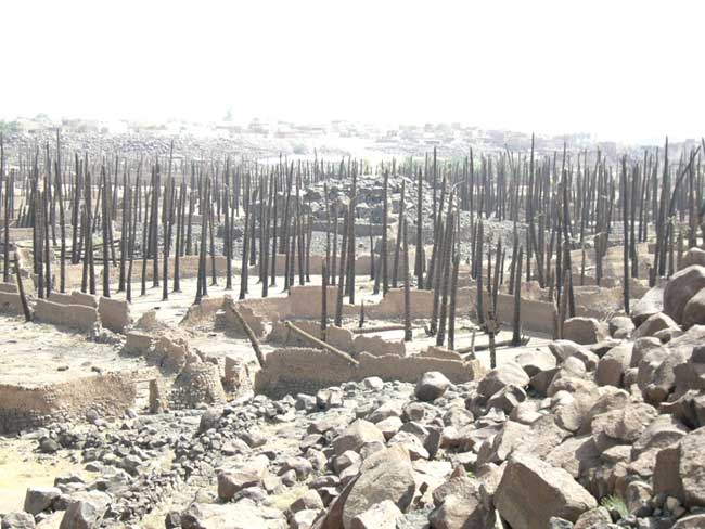 فدک، مالی شایسته برای بانویی شایسته بود