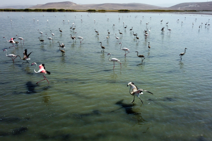 آبگیری سه تالاب حاشیه دریاچه ارومیه
