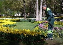 اجرای برنامه جامع آب فضای سبز اصفهان وارد مرحله نهایی شد