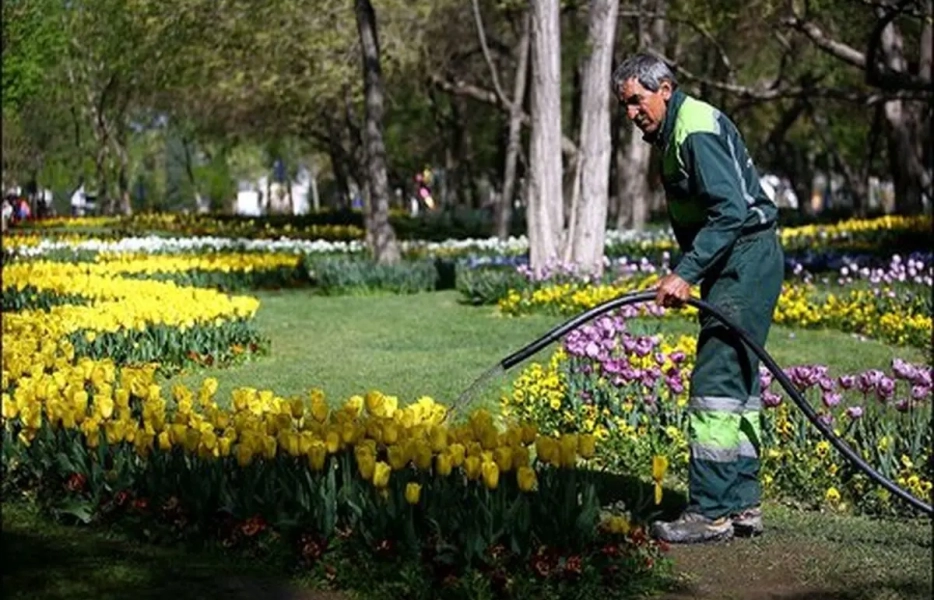 اجرای برنامه جامع آب فضای سبز اصفهان وارد مرحله نهایی شد