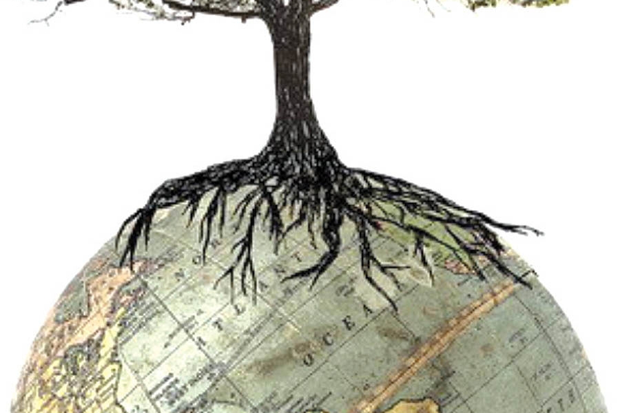 فرهنگ، آیینۀ تربیت ماست