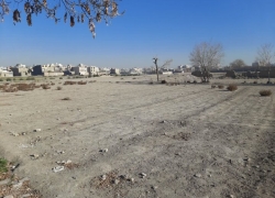 شهرداری منطقه ۹، اراضی کشاورزی را تعیین تکلیف کرد