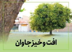 افت و خیز جاوان