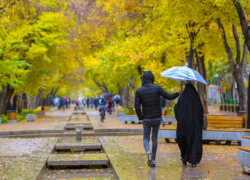 قلب ما که کاروانسرا نیست