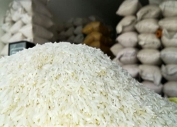 توزیع گسترده برنج ۱۲۹ هزار تومانی در بازار آغاز شد