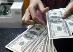 کاهش قیمت دلار در صرافی ملی