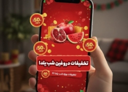 ۳ توصیه مهم پلیس فتا برای خریدهای اینترنتی در شب یلدا