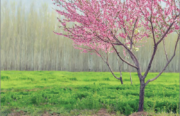 عشق و تنهایی