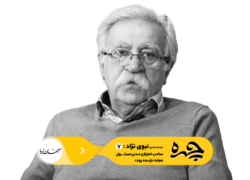چهره | حسام الدین نبوی‌نژاد