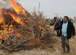 برگزاری آیین سنتی سده در شهرستان خوروبیابانک