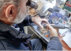 گوهرشناسان اندک اند