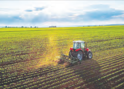 الگوی کشت راه نجاتی برای زمین‌های تشنه