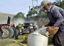 متناسب‌سازی مستمری روستاییان تا خرداد ۱۴۰۵ اجرا می‌شود